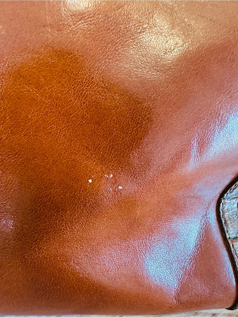 Vintage Brahmin Two-Tone Burnt Orange and Cognac Croc-Trim Satchel - Picture 3 of 16